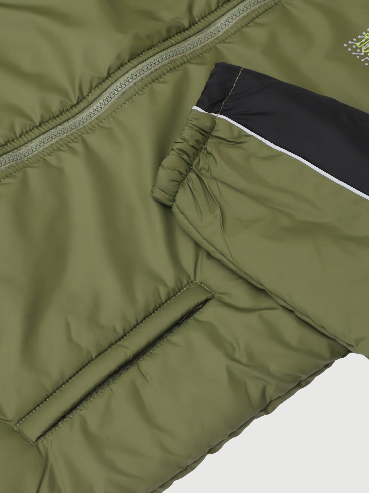 OLIVE