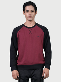 Reglan Sweatshirt