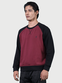 Reglan Sweatshirt